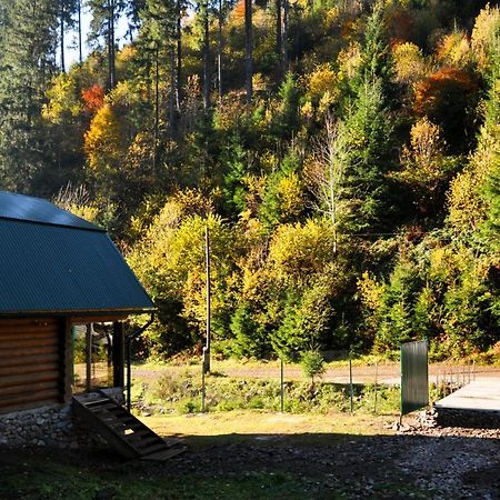 Гостьовий Дім Секвойя Verkhnyaya Bystra Buitenkant foto