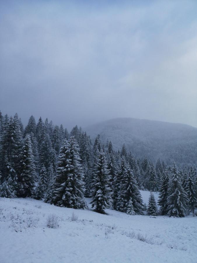 Гостьовий Дім Секвойя Verkhnyaya Bystra Buitenkant foto
