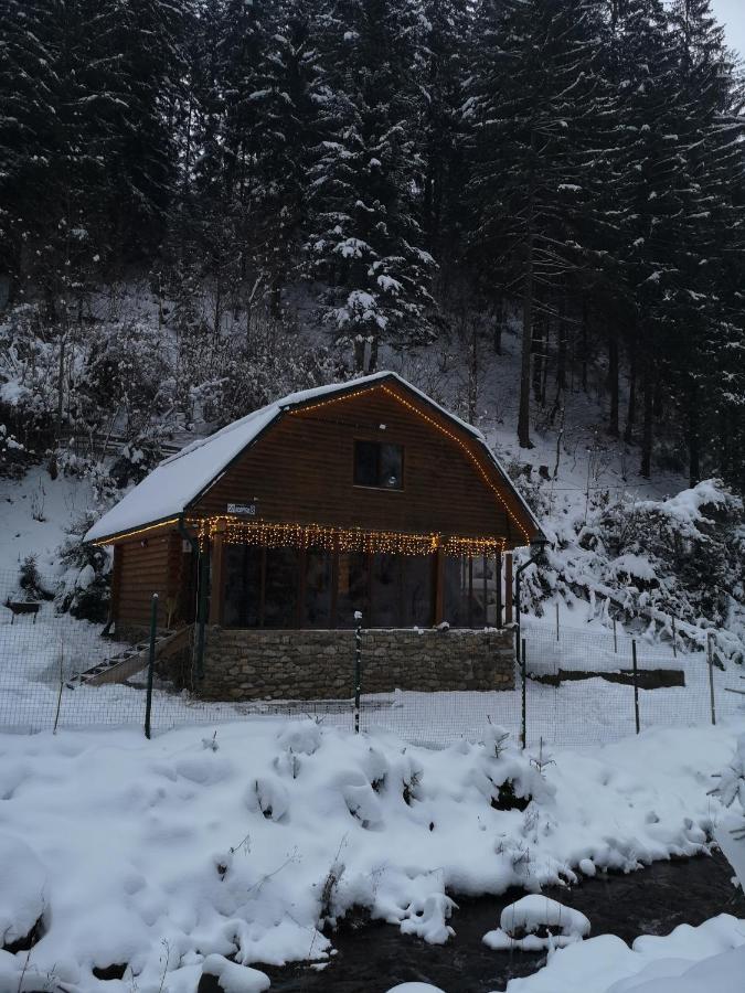 Гостьовий Дім Секвойя Verkhnyaya Bystra Buitenkant foto