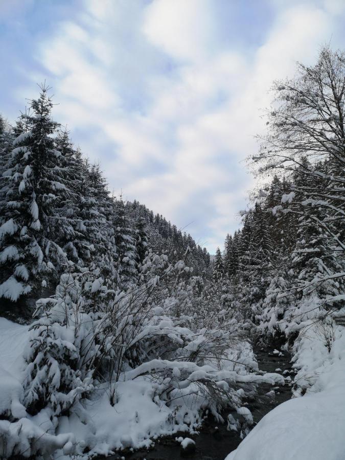 Гостьовий Дім Секвойя Verkhnyaya Bystra Buitenkant foto