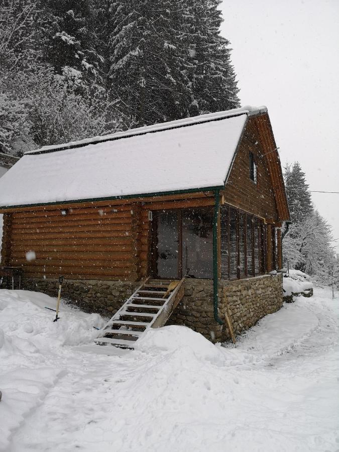Гостьовий Дім Секвойя Verkhnyaya Bystra Buitenkant foto